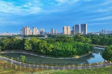 糖心app兑换码分享-糖心APP兑换秘籍，解锁无限体验的秘密